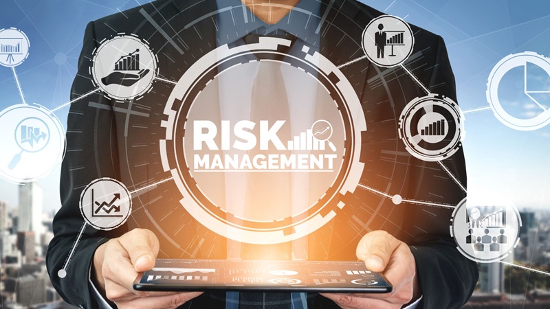 Risk Management for financial accounting and insurance companies